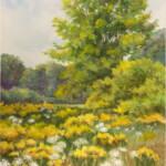 By Kaylinda Schuhart