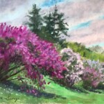 Giclee` reproduction, 8" x 10" matted to 11" x 14" $49.99